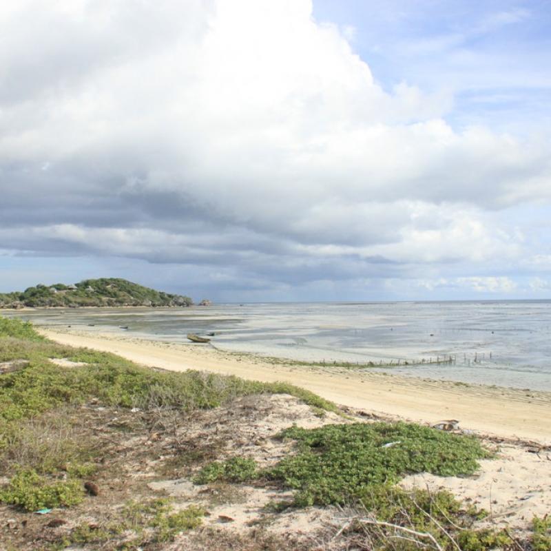 Terrain – villa - maison – propriété – à vendre – à louer – location - location longue durée – location à l’année – investissement – achat – vente – plage – bord de mer - sable blanc – Indonésie – Roti island – Bali – chambre – notaire – consultant - juridique – création - société – administration – voyage – entreprise – hôtel – commerce – restaurant – projet – visa – permis – travail – retraite – informations – découverte – aventure – produits – naturels – spa – salon – coiffure – réflexologie – savon – shampoing – anti-moustique – tourisme – plaisir – nature – surf – plongée – exploration – exotique – exotisme – massage – traditionnel – huile de massage – coucher de soleil – photos – galerie – soin de beauté – pédicure – manucure – agent immobilier – professionnel-Land - villa - house - property - for sale - rent - rental - leasing - rent annually - investment - purchase - sale - beach - sea - white sand - Indonesia - Rote island - Bali - bedroom - notary - consultant - legal - creation - company - administration - travel - business - hotel - shop - restaurant - project - visa - permit - work - retirement - information - discovery - adventure - products - natural - spa - lounge - hairdresser - reflexology - soap - shampoo – anti-mosquito – pleasure – nature – surf – diving – exploration - exotic - exotism - massage - traditional - massage oil - sunset - pictures - gallery - beauty treatment - pedicure – manicure – real estate agent – professional-Tanah - villa - rumah - properti - Dijual - disewakan - dikontrakan - menyewa per tahun - investasi - pembelian - penjualan - pantai - laut - pasir putih - Indonesia - pulau Roti - Bali - bedroom - notaris - konsultan - hukum - penciptaan - wisata - - bisnis - Hotel - bisnis - restoran - proyek - visa - izin - pekerjaan - pensiun - informasi - penemuan - petualangan - produk - spa - - alam ruang duduk - penata rambut - reflexology masyarakat - administrasi - sabun - shampoo – anti-nyamuk - Pariwisata - menyenangkan - semacam - surfing - diving – eksplorasi - eksotik - eksotis - pijat - tradisional - pijat minyak - sunset - Foto - galeri - perawatan kecantikan - pedicure – manicure – properti agen - Profesional